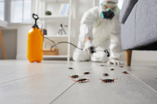 Commercial Rodent Management in Kasson